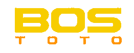 BOSTOTO LOGO